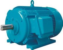 德國B(niǎo)AUER電機